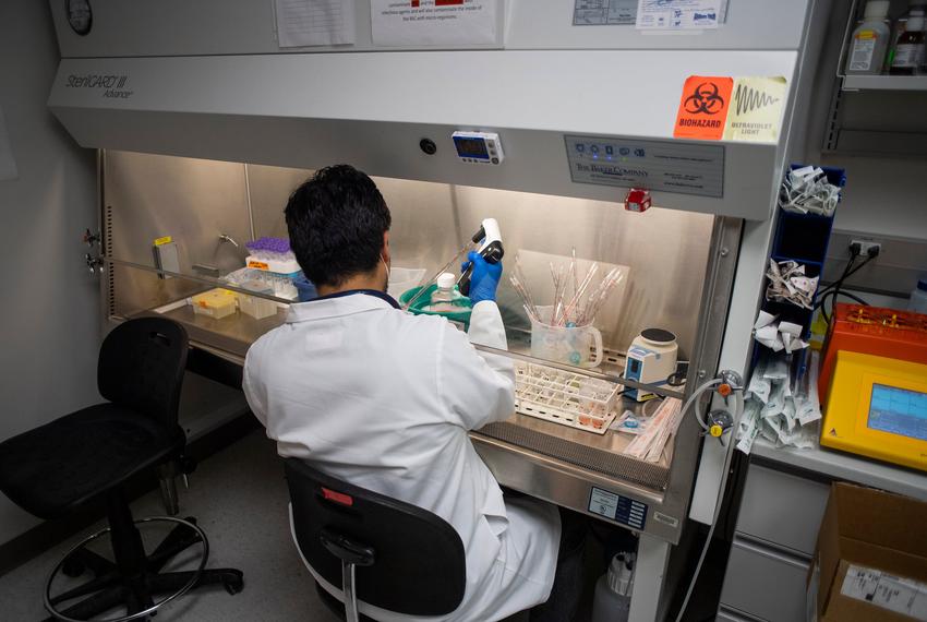 Texas lawmakers to make vaccine exemption process easier | The Texas ...